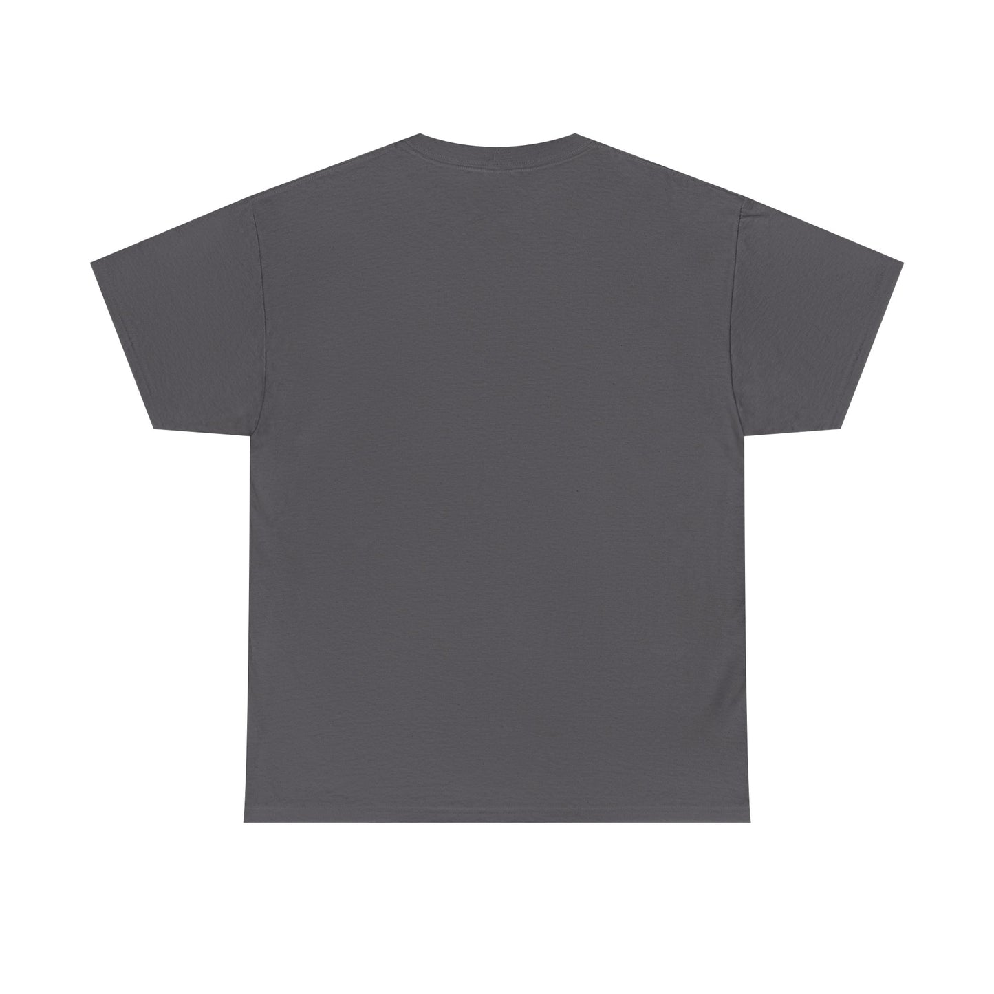 Unisex Heavy Cotton Tee - Cradle of Aviation Museum Swag Collection
