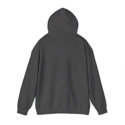 Unisex Heavy Blend™ Hooded Sweatshirt - Cradle of Aviation Museum Swag Collection