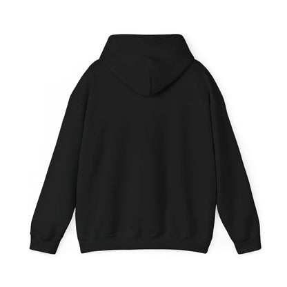 Unisex Heavy Blend™ Hooded Sweatshirt - Cradle of Aviation Museum Swag Collection