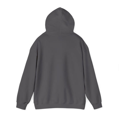 Unisex Heavy Blend™ Hooded Sweatshirt - Cradle of Aviation Museum Swag Collection