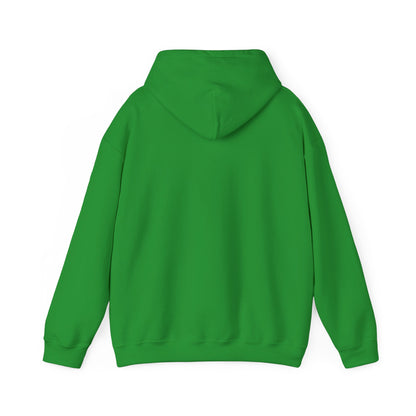 Unisex Heavy Blend™ Hooded Sweatshirt - Cradle of Aviation Museum Swag Collection