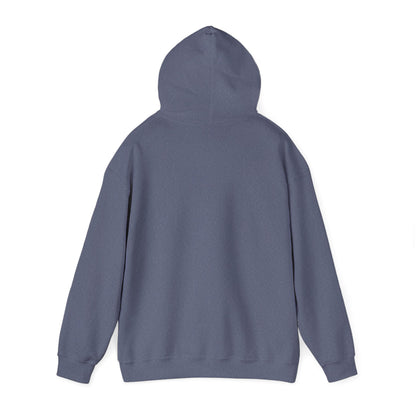 Unisex Heavy Blend™ Hooded Sweatshirt - Cradle of Aviation Museum Swag Collection