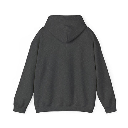 Unisex Heavy Blend™ Hooded Sweatshirt - Cradle of Aviation Museum Swag Collection