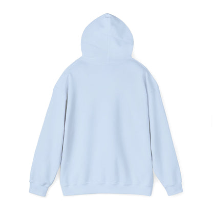 Unisex Heavy Blend™ Hooded Sweatshirt - Cradle of Aviation Museum Swag Collection