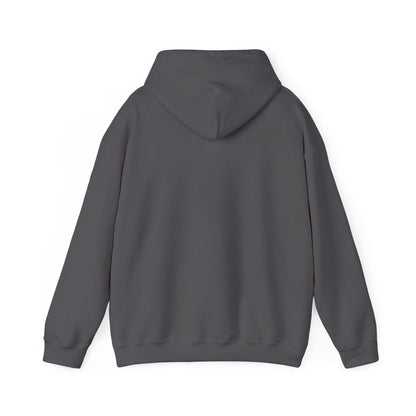 Unisex Heavy Blend™ Hooded Sweatshirt - Cradle of Aviation Museum Swag Collection
