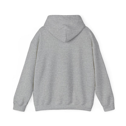 Unisex Heavy Blend™ Hooded Sweatshirt - Cradle of Aviation Museum Swag Collection
