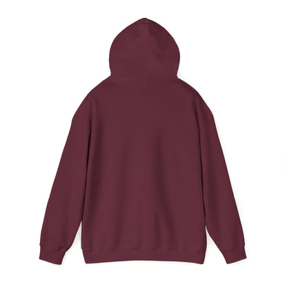 Unisex Heavy Blend™ Hooded Sweatshirt - Cradle of Aviation Museum Swag Collection