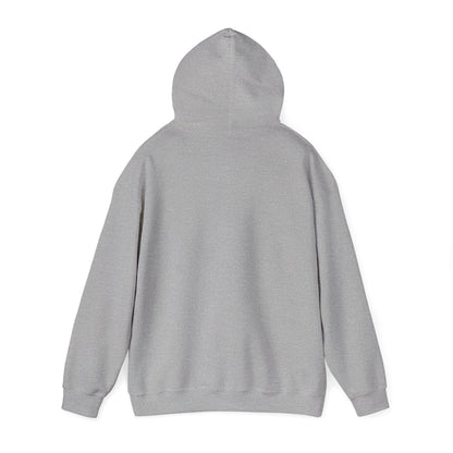 Unisex Heavy Blend™ Hooded Sweatshirt - Cradle of Aviation Museum Swag Collection
