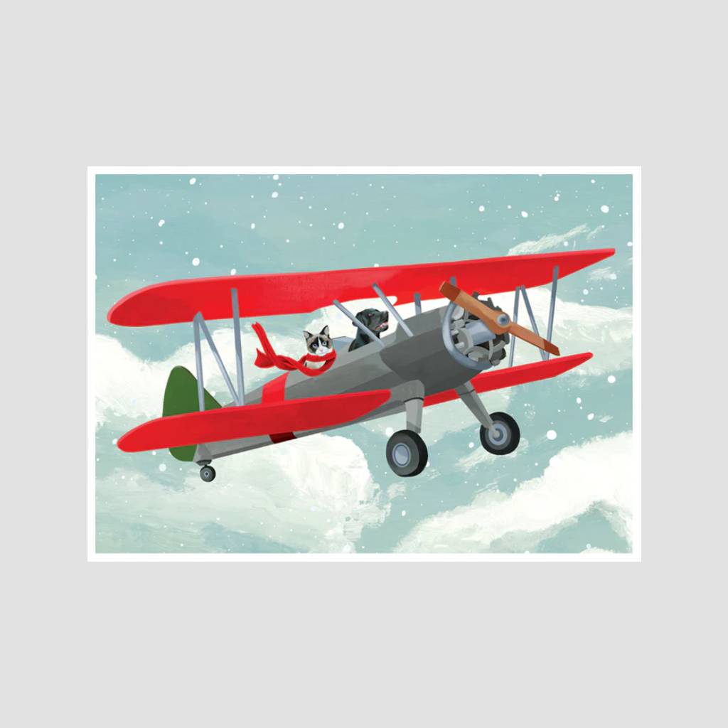 Cat and Dog Airplane Holiday Card Set