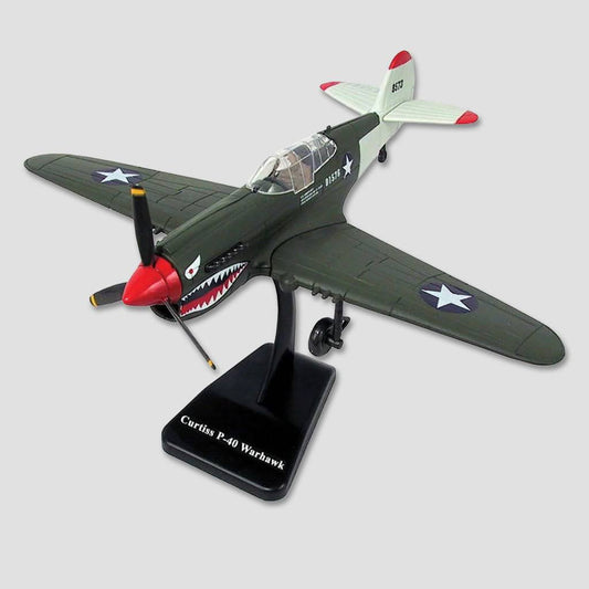 EZ Build Model: P-40 Warhawk