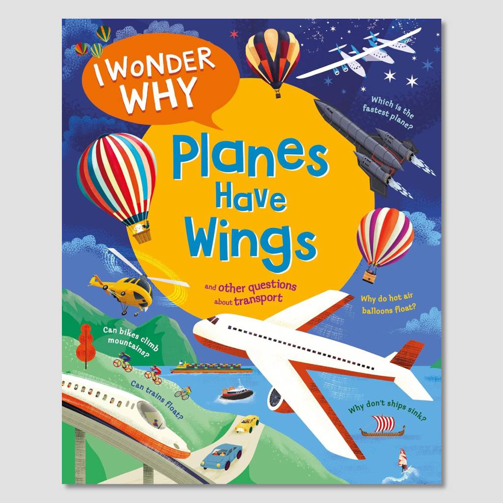 I Wonder Why Planes Have Wings