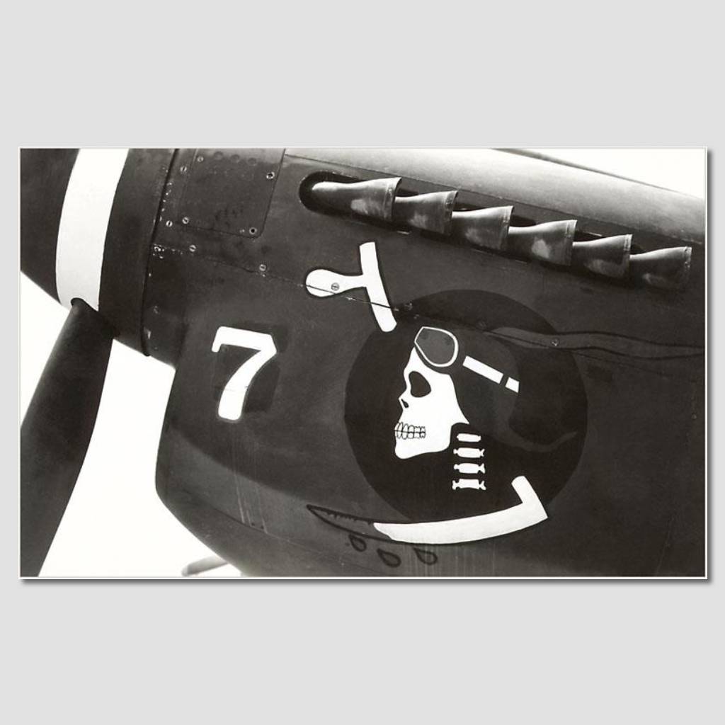 Skull Nose Art Sticker