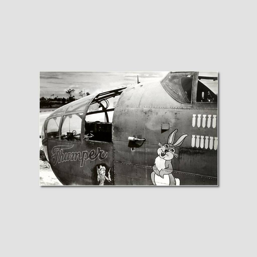 Thumper Nose Art Magnet