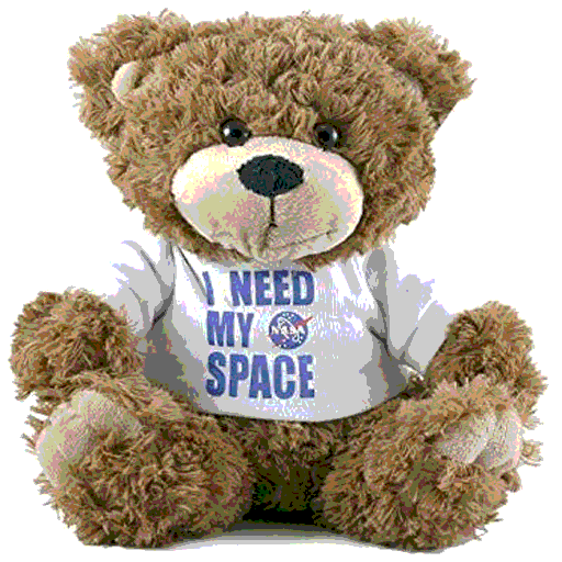 I Need My Space Plush Bear